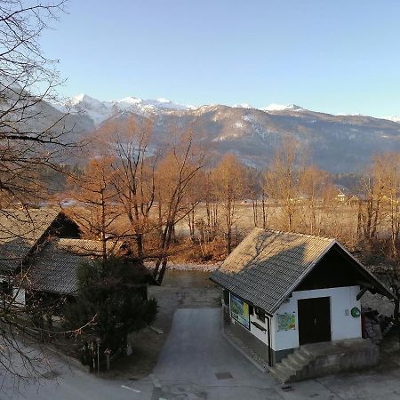 Apartma Kosnik Perunika Bohinj Eksteriør bilde